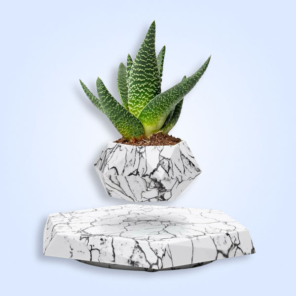 SkyBloom Floating Plant Pot – Levitating Magnetic Air Planter for Home Décor