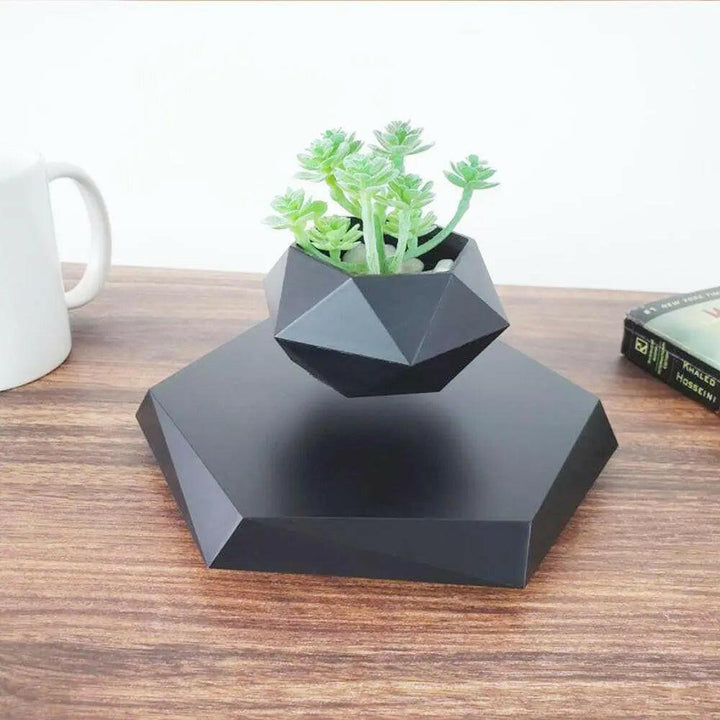 SkyBloom Floating Plant Pot – Levitating Magnetic Air Planter for Home Décor - Aetheo Store