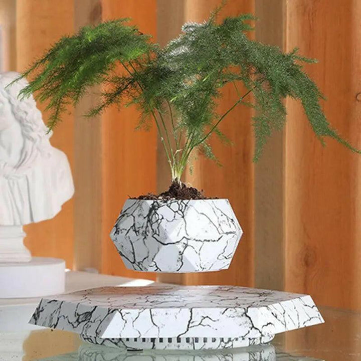 SkyBloom Floating Plant Pot – Levitating Magnetic Air Planter for Home Décor - Aetheo Store