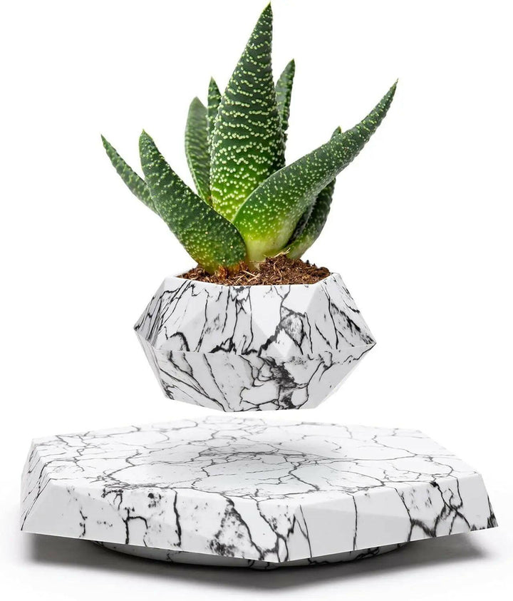 SkyBloom Floating Plant Pot – Levitating Magnetic Air Planter for Home Décor - Aetheo Store