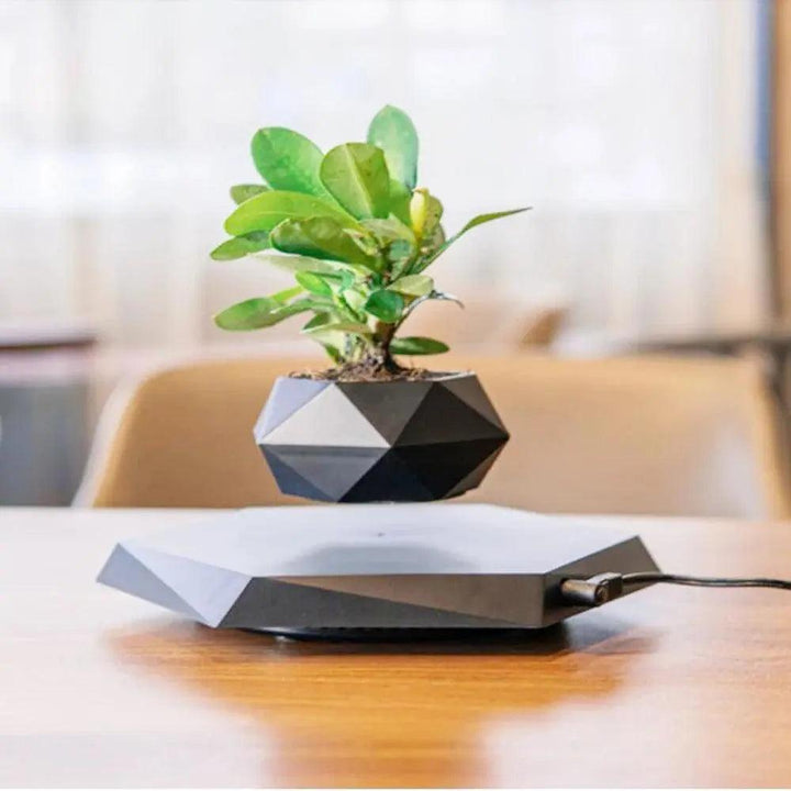 SkyBloom Floating Plant Pot – Levitating Magnetic Air Planter for Home Décor - Aetheo Store