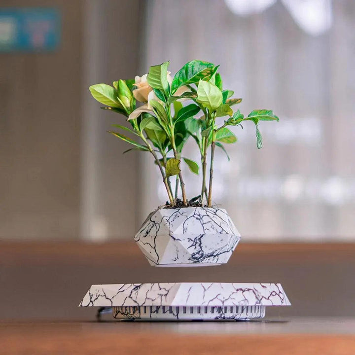 SkyBloom Floating Plant Pot – Levitating Magnetic Air Planter for Home Décor - Aetheo Store