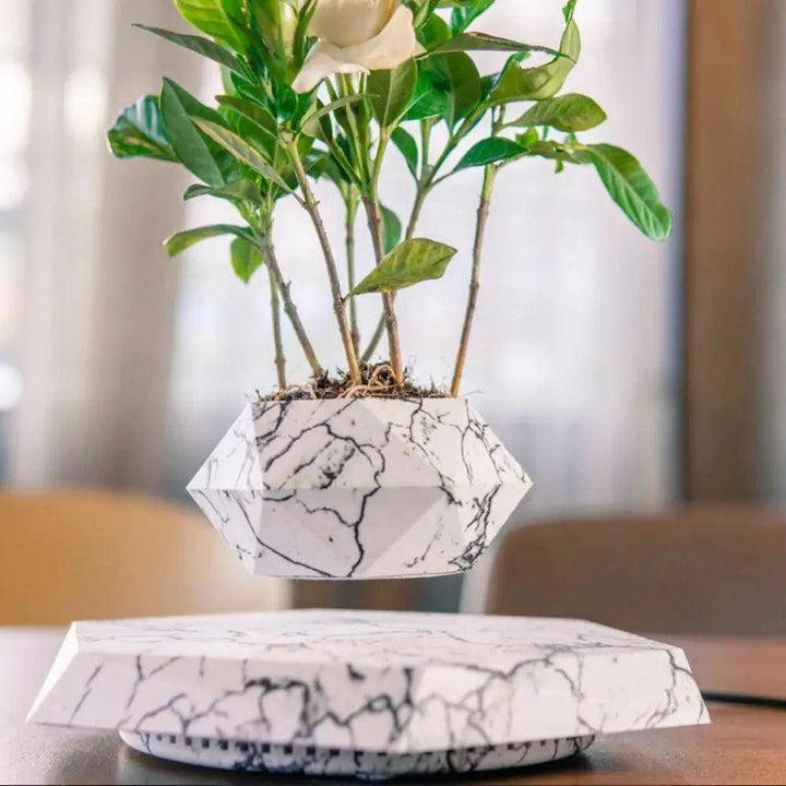 SkyBloom Floating Plant Pot – Levitating Magnetic Air Planter for Home Décor - Aetheo Store